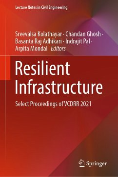 Resilient Infrastructure (eBook, PDF)