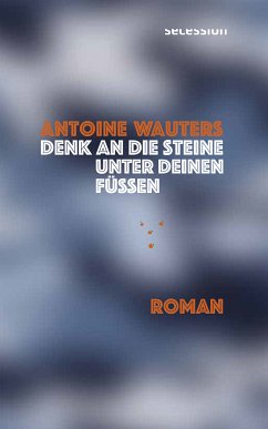 Denk an die Steine unter Deinen Füssen (eBook, ePUB) - Wauters, Antoine