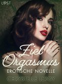 Ziel Orgasmus (eBook, ePUB)