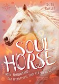 Mein Traumpferd, der Feuerteufel und Herzen im Galopp / Soulhorse Bd.3 (eBook, ePUB)