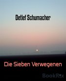 Die Sieben Verwegenen (eBook, ePUB)