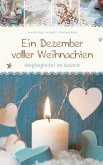 Ein Dezember voller Weihnachten (eBook, ePUB)