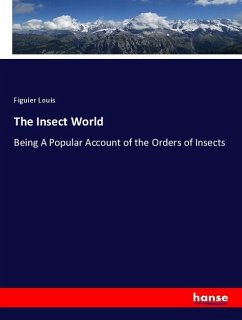 The Insect World