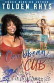 Caribbean Cub (Pixie-Fairy-Dreamgirls, Inc., #1) (eBook, ePUB)