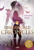 Erwacht / Underworld Chronicles Bd.3