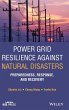 Power Grid Resilience Against Natural... - Bild 1