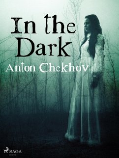 Cover In the Dark (eBook, ePUB)