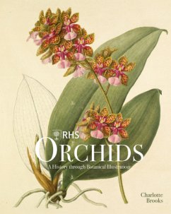 RHS Orchids - Brooks, Charlotte