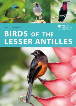 Birds of the Lesser Antilles - Chenery, Ryan