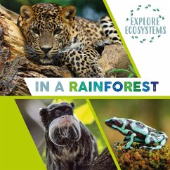 Explore Ecosystems: In a Rainforest - Ridley, Sarah