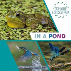 Explore Ecosystems: In a Pond - Ridley, Sarah