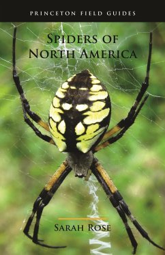Spiders of North America - Rose, Sarah