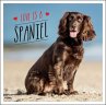 Love is a Spaniel - Bild 1