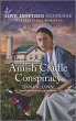 Amish Cradle Conspiracy (eBook, ePUB) - Bild 1