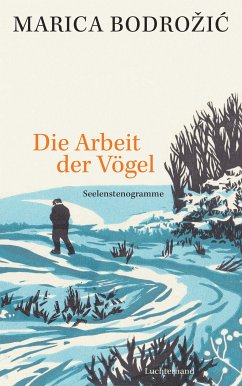 Die Arbeit der Vögel (eBook, ePUB) - Bodrozic, Marica