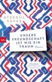 Unsere Freundschaft ist wie ein Traum (eBook, ePUB)