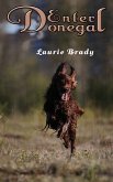 Enter Donegal (eBook, ePUB)