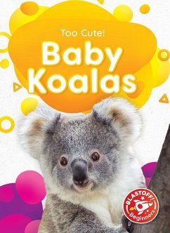 Baby Koalas - Sabelko, Rebecca
