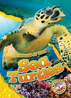 Sea Turtles - Grack, Rachel