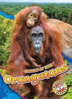 Orangutans - Grack, Rachel