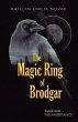 The Magic Ring of Brodgar - Bild 1