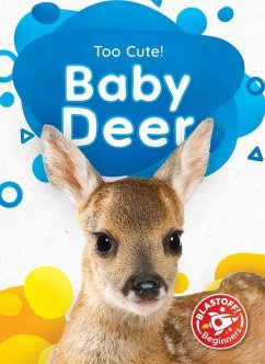 Baby Deer - Sabelko, Rebecca