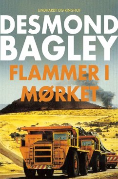 Cover Flammer i mørket