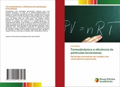 Termodinâmica e eficiência de partículas brownianas - Stable, Leiva