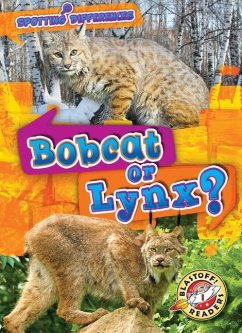 Bobcat or Lynx? - Schuh, Mari C