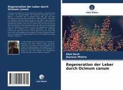 Regeneration der Leber durch Ocimum canum - Dash, Alok;Mishra, Jhansee