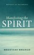 Manifesting the Spirit - Bild 1