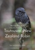 Toutouwai New Zealand Robin