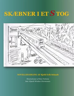 Skæbner i et s-tog (eBook, ePUB) - Schaub, Kjeld Erik