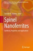 Spinel Nanoferrites (eBook, PDF)