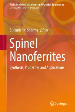 Spinel Nanoferrites (eBook, PDF)