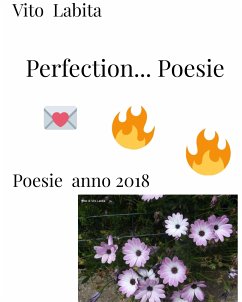 Perfection .... Poesie (fixed-layout eBook, ePUB) - vito, labita