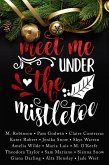 Meet Me Under the Mistletoe (eBook, ePUB)