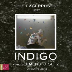 Indigo (MP3-Download) - Setz, Clemens J.