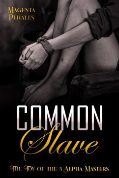 Cover Common Slave (eBook, ePUB)