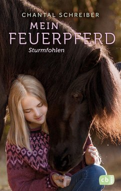 Sturmfohlen / Mein Feuerpferd Bd.2 - Schreiber, Chantal