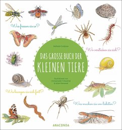 Das große Buch der kleinen Tiere - Tordjman, Nathalie