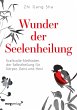 Wunder der Seelenheilung - Bild 1