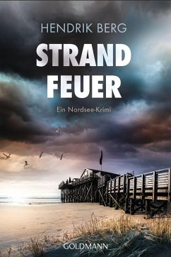 Strandfeuer / Theo Krumme Bd.8 - Berg, Hendrik