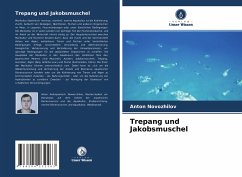 Trepang und Jakobsmuschel - Novozhilov, Anton