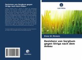 Resistenz von Sorghum gegen Striga nach dem Anbau