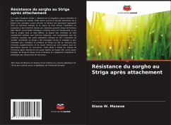 Cover Résistance du sorgho au Striga après attachement