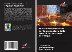 Telerilevamento e GIS per la mappatura delle aree di perforazione dell'acqua - Simplice, Labe;Jean Roger P., Jourda;Mahaman B., Saley