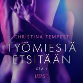 Työmiestä etsitään Osa 1 - eroottinen novelli (MP3-Download)