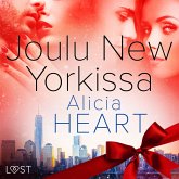 Joulu New Yorkissa - eroottinen novelli (MP3-Download)