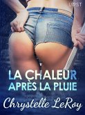 La chaleur après la pluie - Une nouvelle érotique (eBook, ePUB)